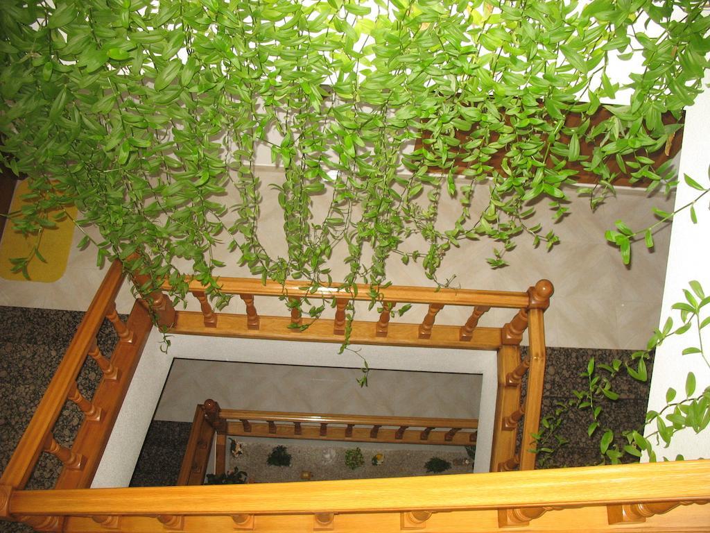 Hotel A Veiga Samos Zewnętrze zdjęcie